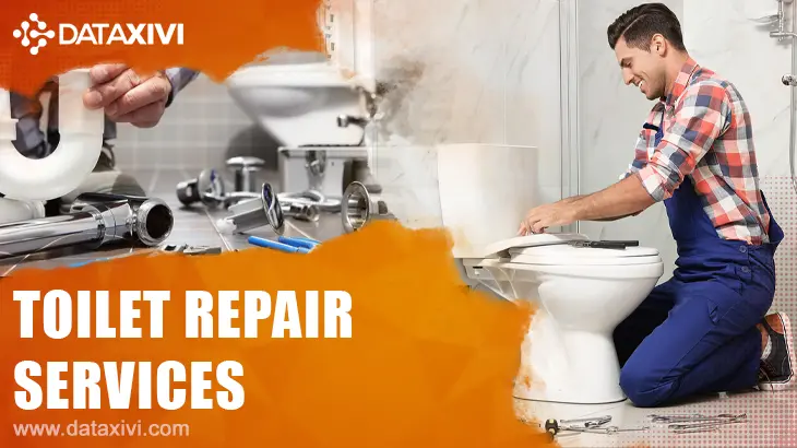 Toilet Repair Services - DataXiVi