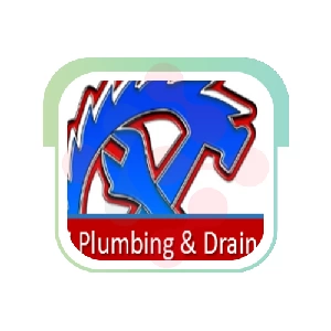 24/7 Plumbing & Drain Plumber - DataXiVi