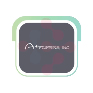 A-Plus Plumbing, Inc. Logo - DataXiVi