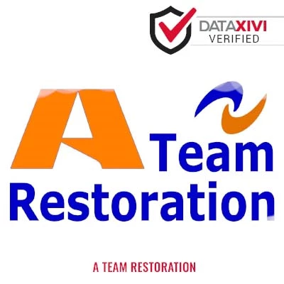 A Team Restoration Plumber - Mainesburg