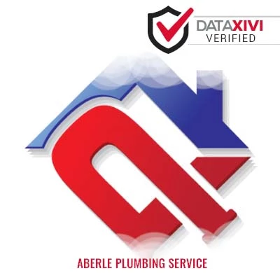 Aberle Plumbing Service: Drain and Pipeline Examination Services in Edgemoor