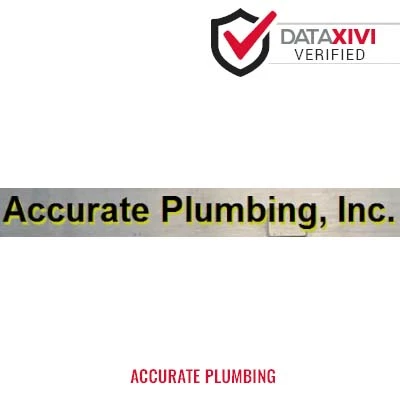 Accurate Plumbing - DataXiVi