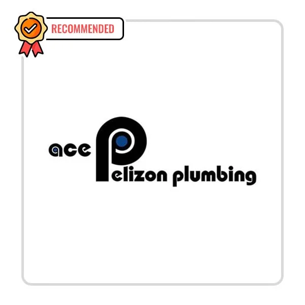 Ace Pelizon Plumbing: Clearing blocked drains in Hanover