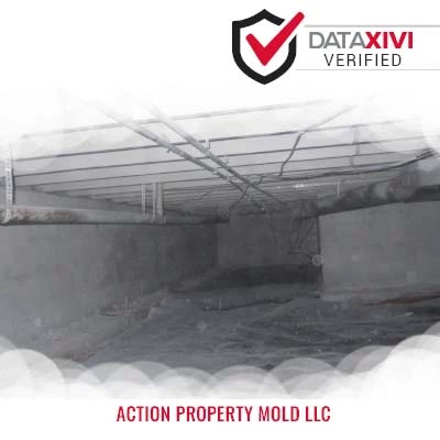 Plumber Action Property Mold LLC - DataXiVi