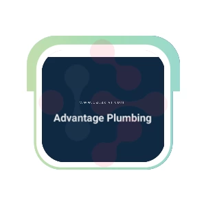Advantage Plumbing Plumber - DataXiVi