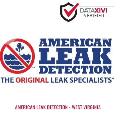 Plumber American Leak Detection - West Virginia - DataXiVi