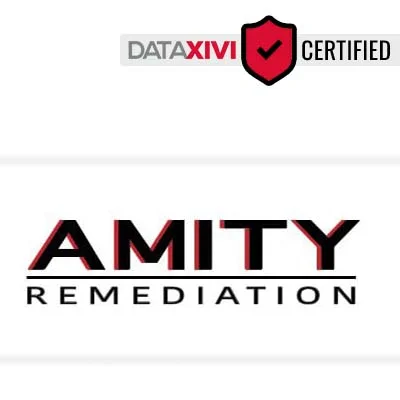 Amity Remediation LLC: Timely Dishwasher Problem Solving in Isabel