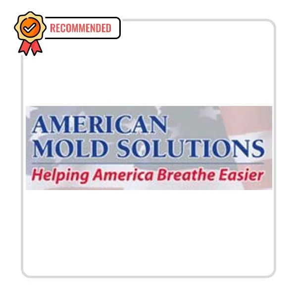Plumber AMS Restoration/American Mold Solutions LLC - DataXiVi