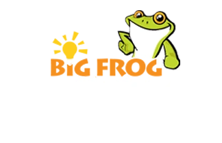 Big Frog Electric Plumber - DataXiVi