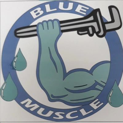 Blue Muscle Plumbing And Rooter Service Plumber - DataXiVi