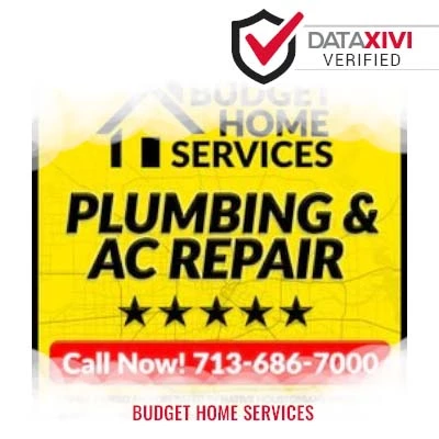 BUDGET HOME SERVICES Plumber - DataXiVi