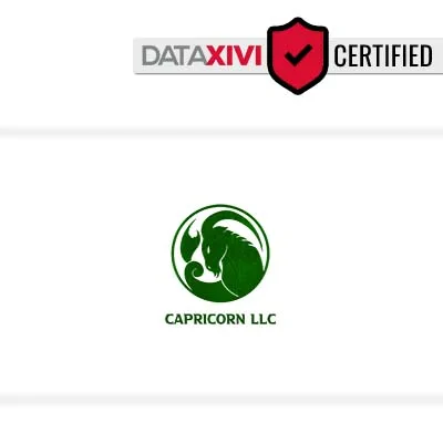 Capricorn LLC Plumber - DataXiVi