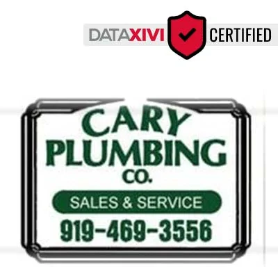 Cary Plumbing Co Plumber - Le Roy
