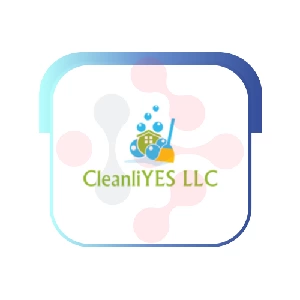CleanliYes LLC Plumber - Larue