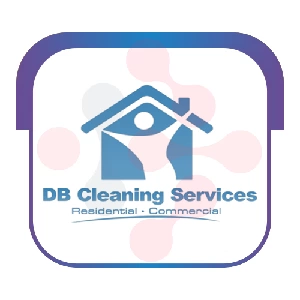 DB Cleaning Services Plumber - DataXiVi
