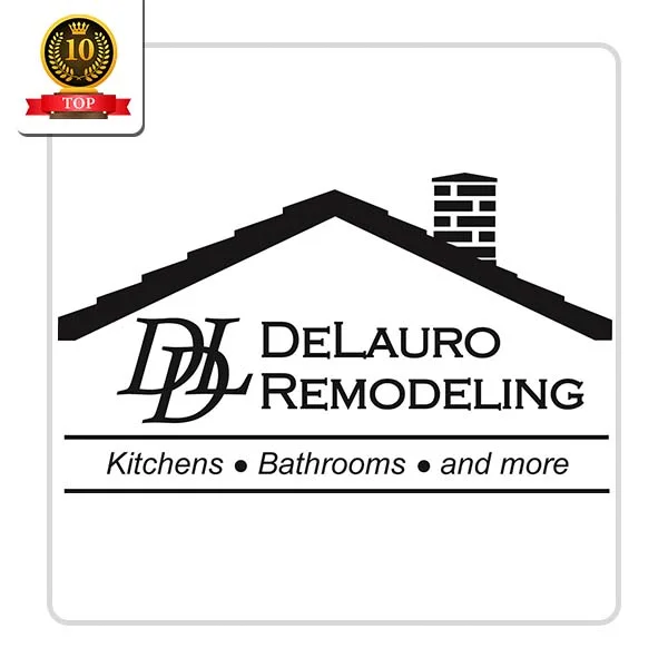 Delauro Remodeling & Repair Co Plumber - Macatawa
