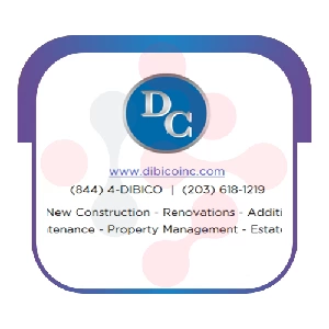 Dibico Construction Plumber - Wilmington