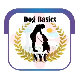 Plumber Dog Basics NYC - DataXiVi