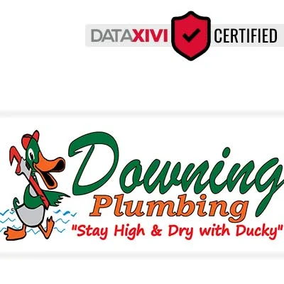 Downing Plumbing Plumber - DataXiVi