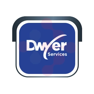 Dwyer Services Logo - DataXiVi