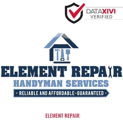 Element Repair - DataXiVi