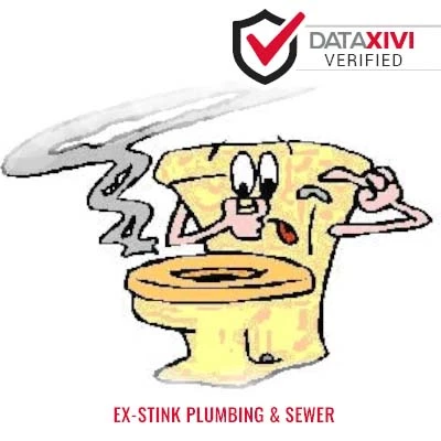 Ex-Stink Plumbing & Sewer Plumber - DataXiVi