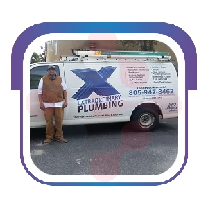 Plumber Extraordinary Plumbing - DataXiVi