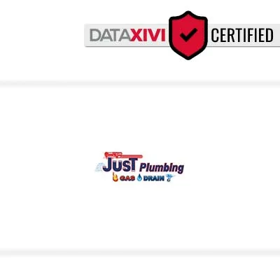 Just Plumbing - DataXiVi