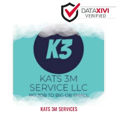 Kats 3M Services Plumber - Amberson
