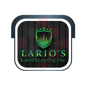 Lario’s Landscaping Inc Plumber - Damon