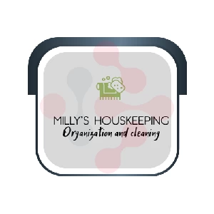 Milly’s Houskeeping Plumber - West Olive