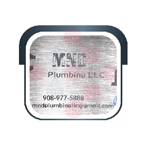 MND Plumbing LLC Plumber - DataXiVi