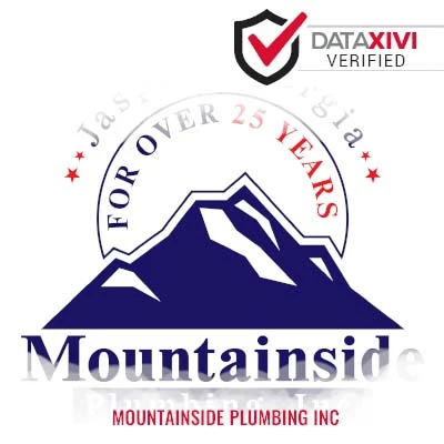 Mountainside Plumbing Inc: Septic System Maintenance Services in Leesburg