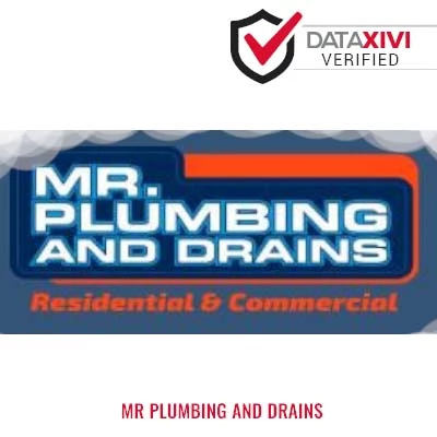 MR PLUMBING AND DRAINS - DataXiVi
