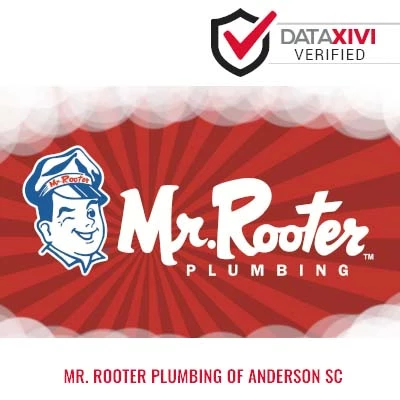 Mr. Rooter Plumbing Of Anderson Sc Plumber - Valdez