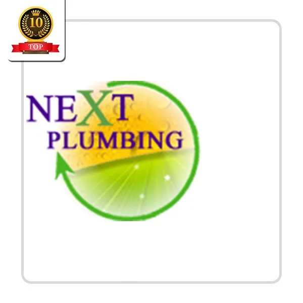 Next Plumbing Plumber - DataXiVi