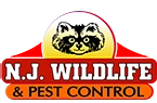 NJ Pest Control LLC. Plumber - Padroni
