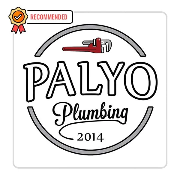 Palyo Plumbing LLC Plumber - Barton