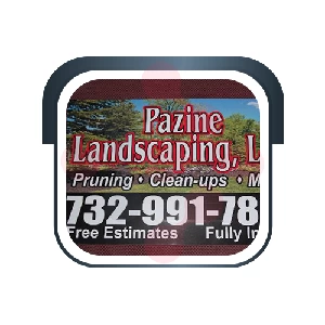 Pazine Landscaping Plumber - Sledge