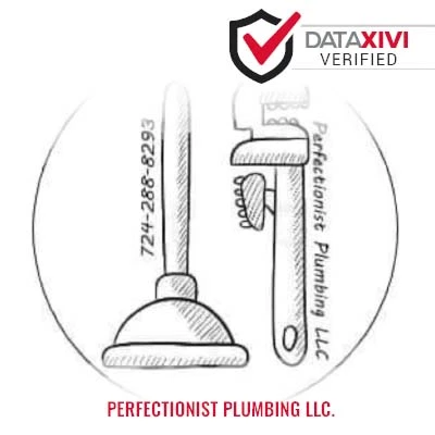 Perfectionist Plumbing LLC. Plumber - DataXiVi