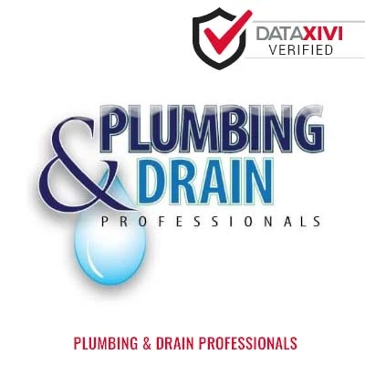 Plumbing & Drain Professionals Plumber - Dimmitt
