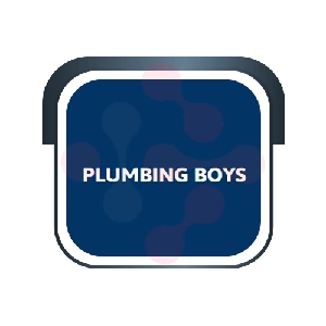 Plumbing Boys Plumber - Hollandale