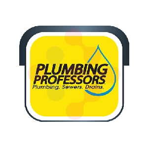 Plumbing Professors Plumber - Overton