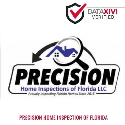 Precision Home Inspection Of Florida Plumber - Wasola