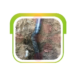 PVD Plumbing Plumber - Spring