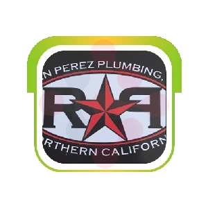 Plumber Ryan Perez Plumbing LLC - DataXiVi