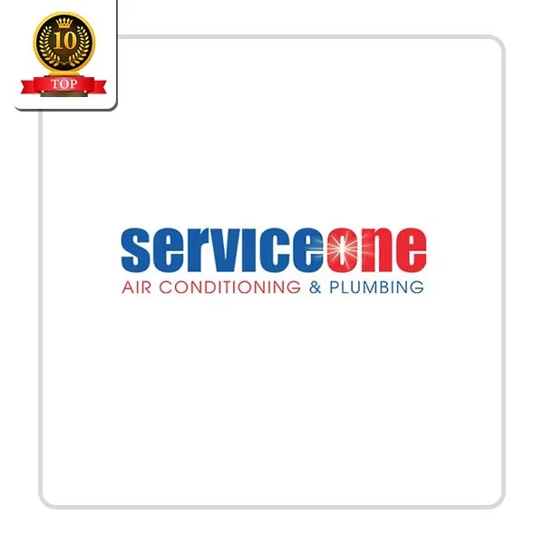 ServiceOne Air Conditioning & Plumbing LLC Plumber - DataXiVi