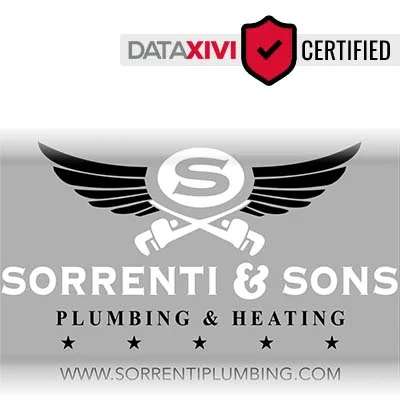 Plumber Sorrenti & Sons Plumbing & Heating L.L.C. - DataXiVi