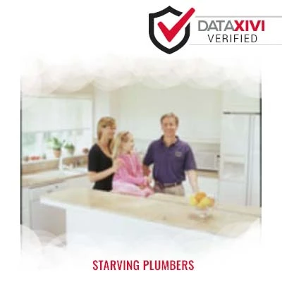 Starving Plumbers Plumber - DataXiVi