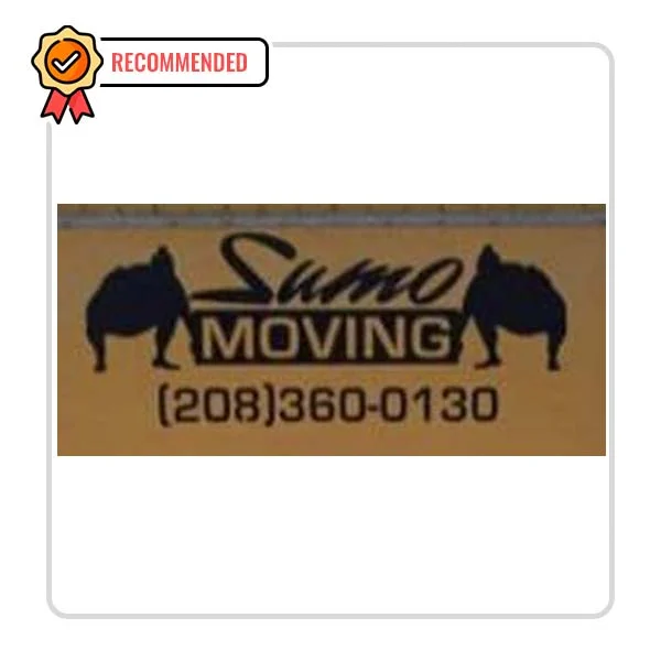Sumo Moving - DataXiVi